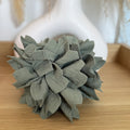 Pinche Flor Verde