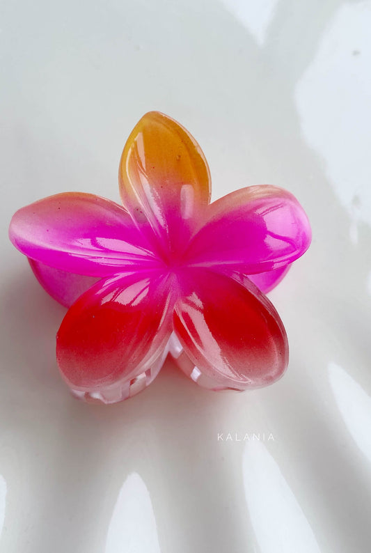 HAIR CLIPS FLORES HAWAIANA BI ROSADO MEDIANA