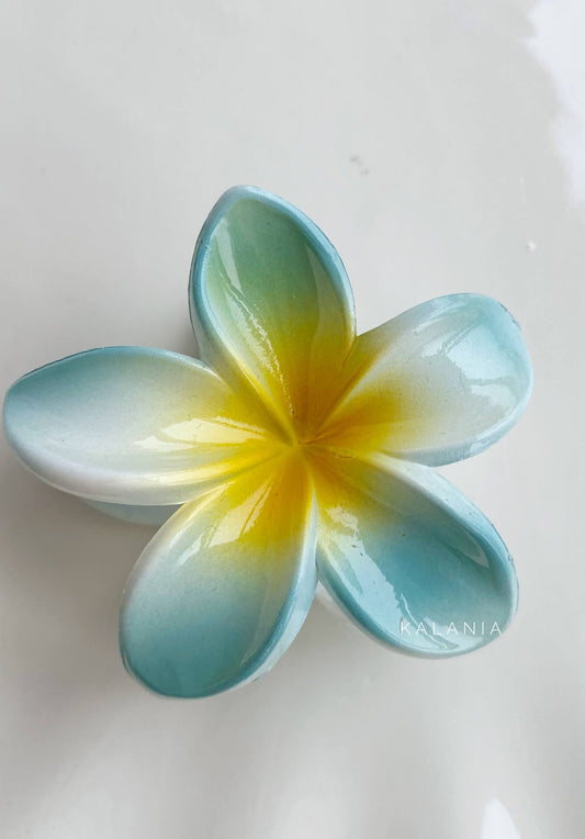 HAIR CLIPS FLORES HAWAIANA II MEDIANA