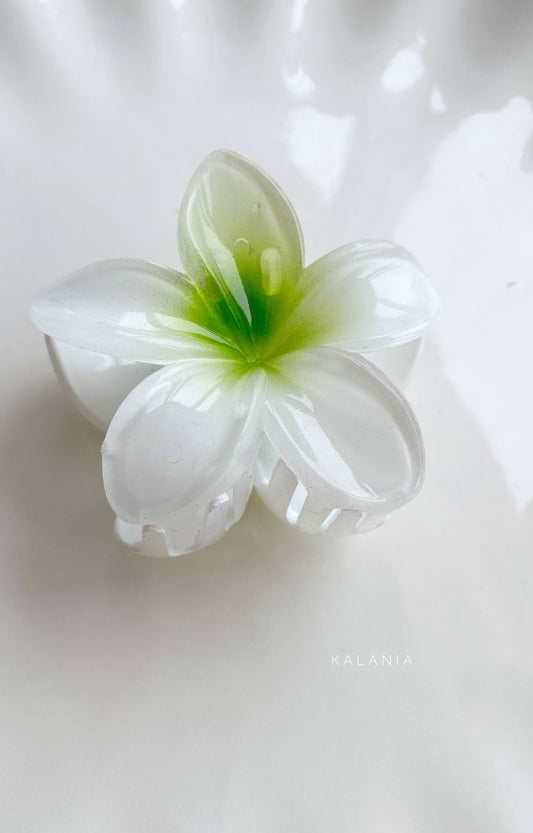 HAIR CLIPS FLORES HAWAIANA BLANCO VERDE MEDIANA