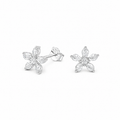 AROS CIRCÓN FLOR PLATA 925